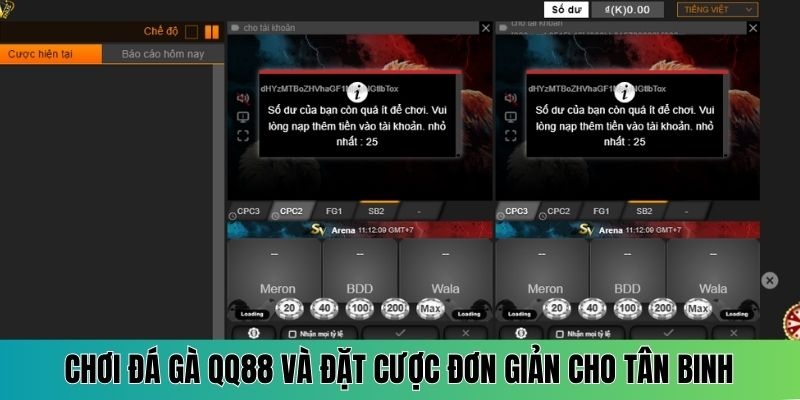 Học cách chơi đá gà QQ88 cơ bản đơn giản cho thành viên mới