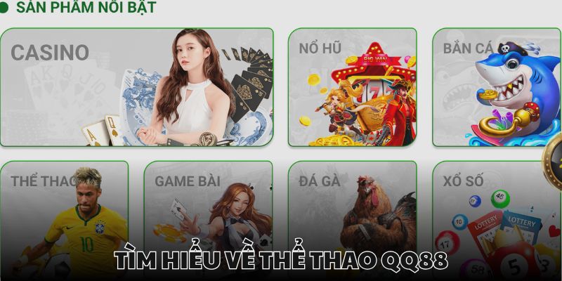 Thể thao luôn là sản phẩm hot tại QQ88