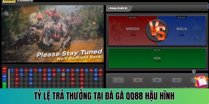 Nhận tiền thưởng hậu hĩnh với tỷ lệ thanh toán hấp dẫn tại QQ88